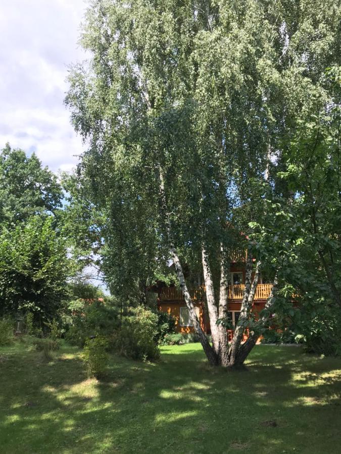 Pokoje Pod Debami Kazimierz Dolny Exterior foto
